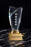 荣誉证书 1